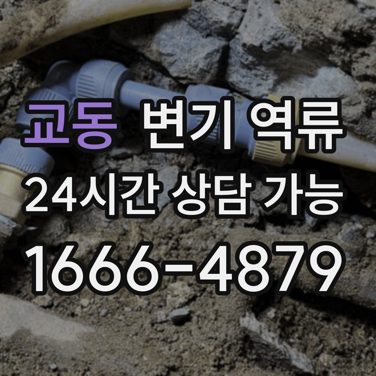 교동 변기 역류