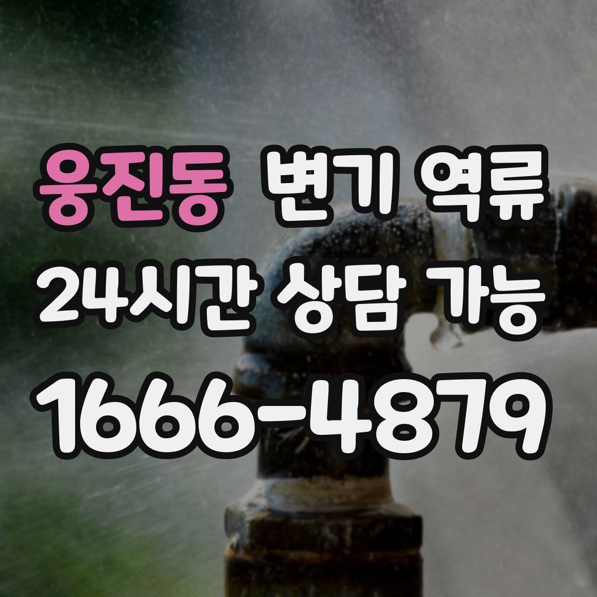 웅진동 변기 역류