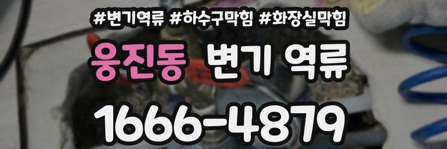 웅진동 변기 역류