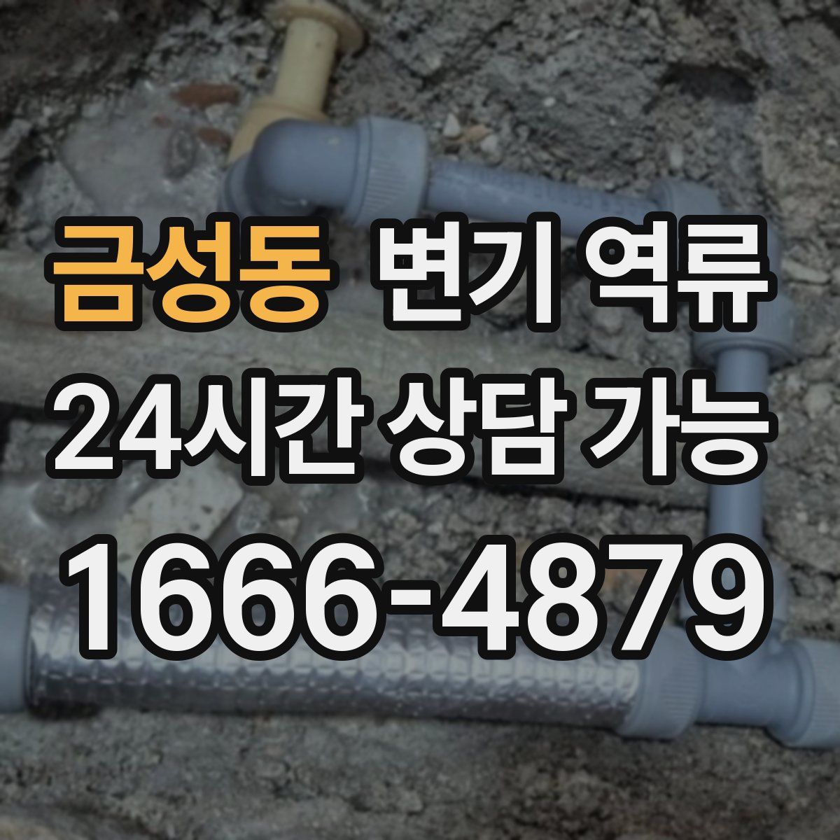 금성동 변기 역류