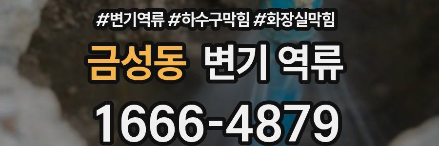 금성동 변기 역류