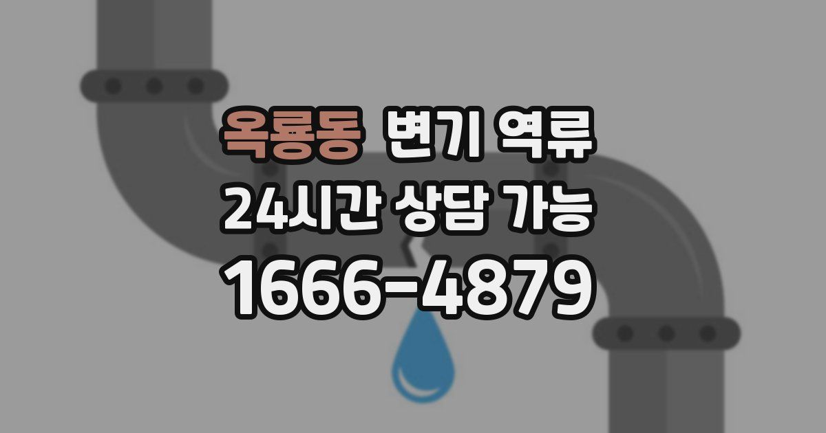 옥룡동 변기 역류