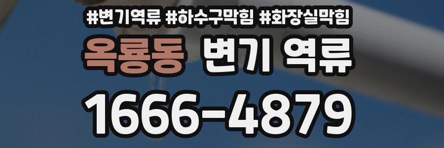 옥룡동 변기 역류