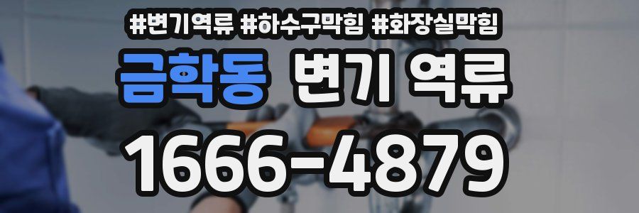 금학동 변기 역류