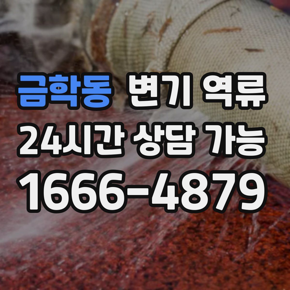 금학동 변기 역류