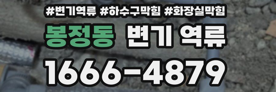 봉정동 변기 역류