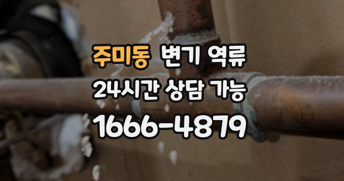 주미동 변기 역류