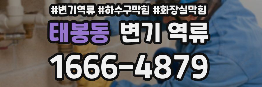 태봉동 변기 역류