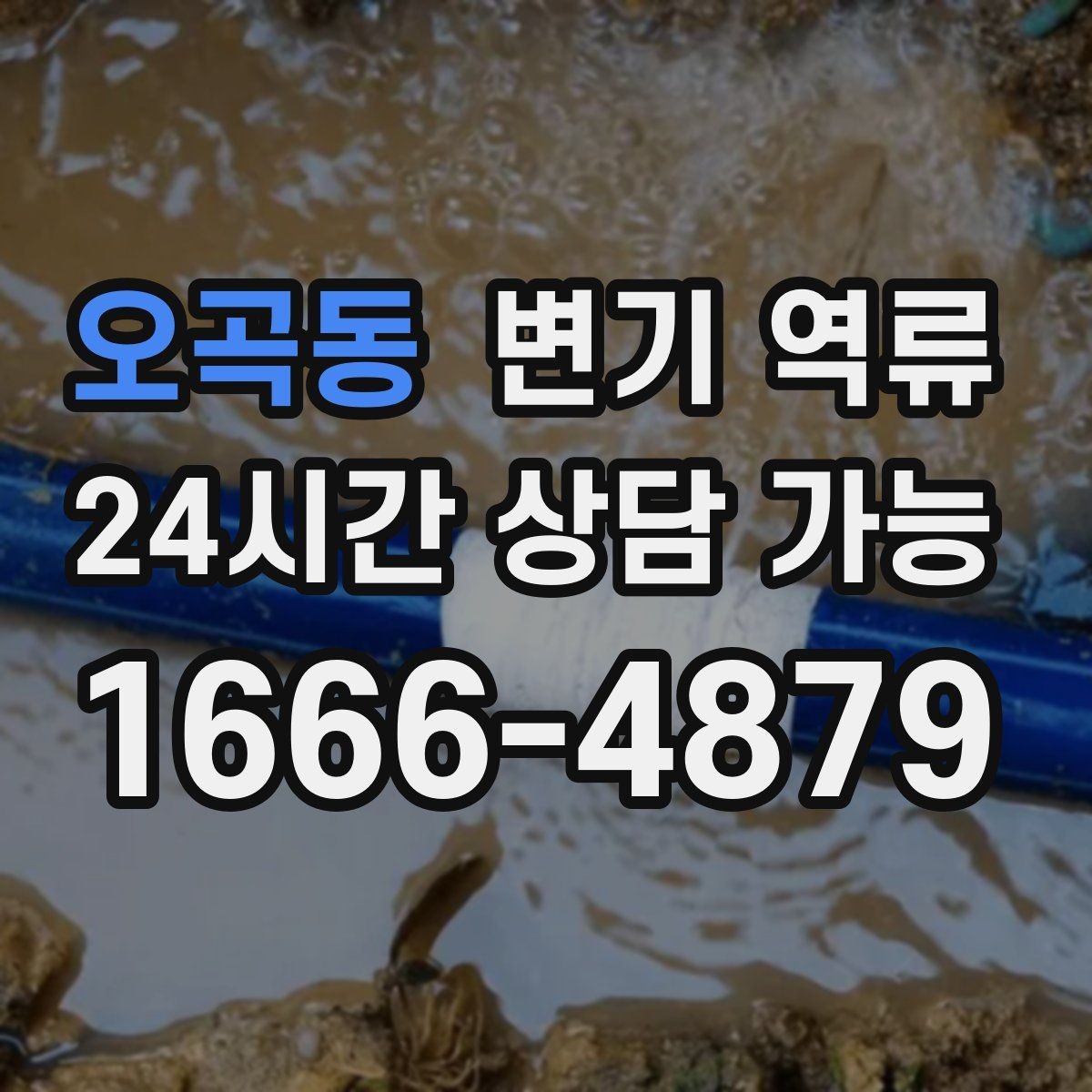 오곡동 변기 역류 변기에 버리면 안 되는 것 깔끔하게 정리