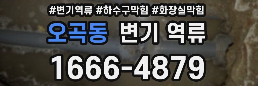 오곡동 변기 역류