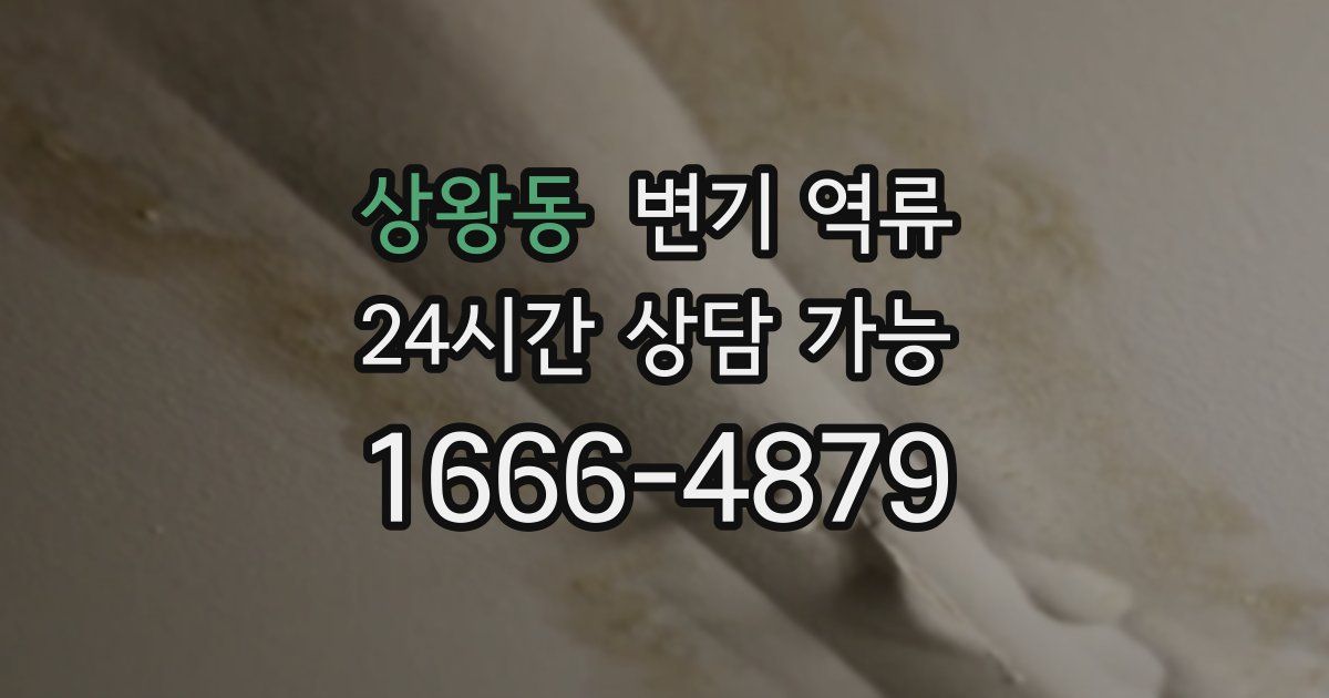 상왕동 변기 역류