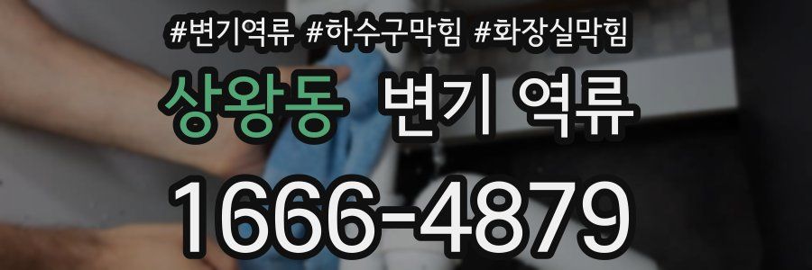 상왕동 변기 역류