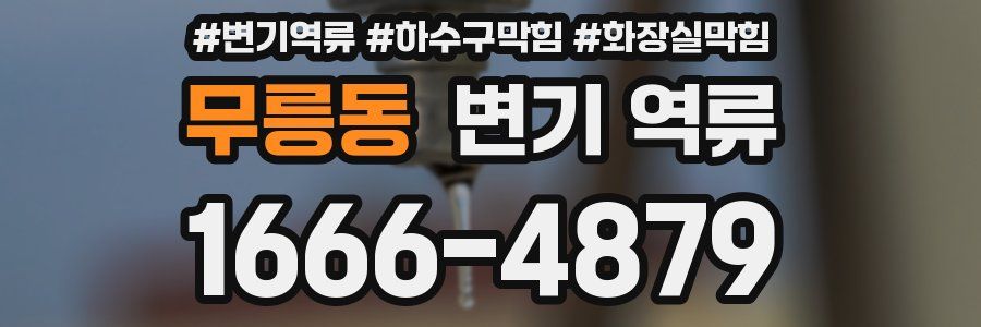 무릉동 변기 역류