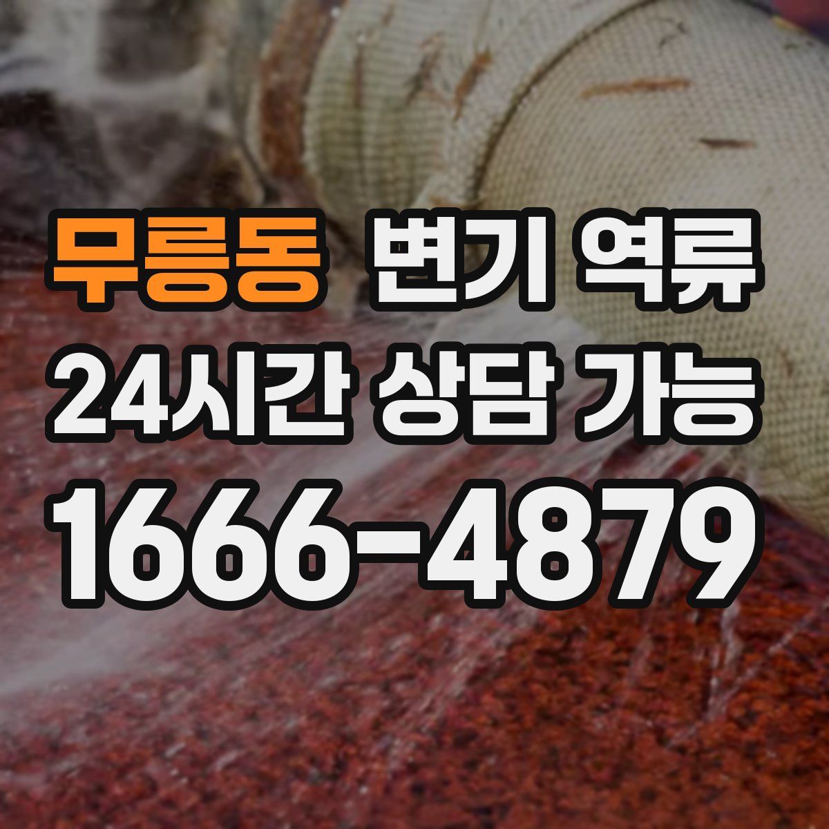 무릉동 변기 역류