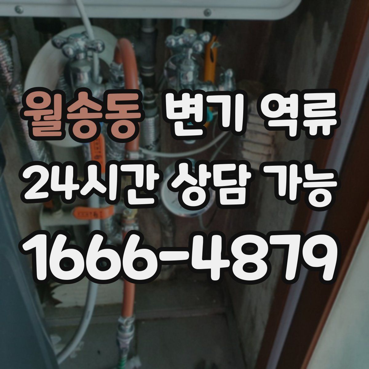 월송동 변기 역류