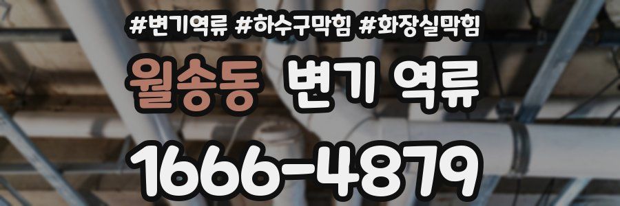 월송동 변기 역류