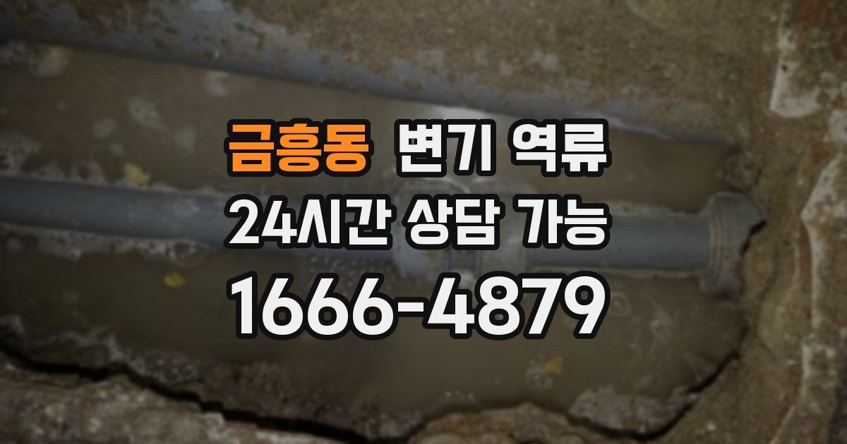 금흥동 변기 역류