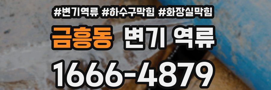 금흥동 변기 역류