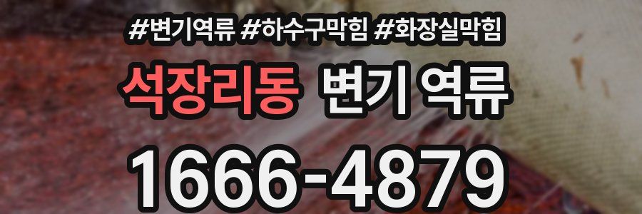 석장리동 변기 역류