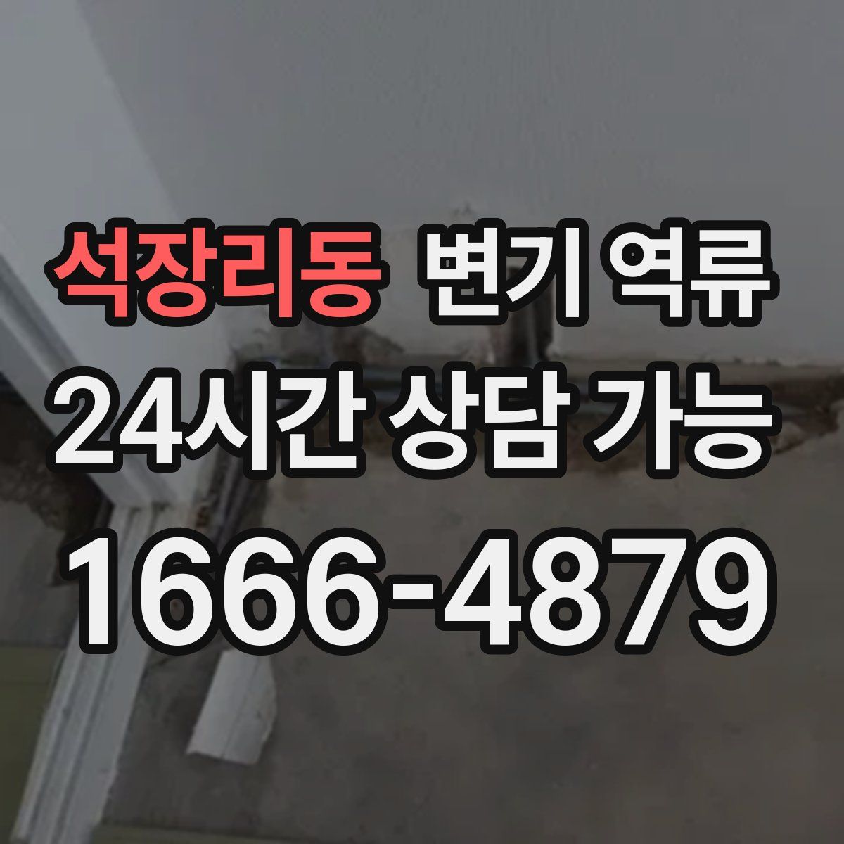 석장리동 변기 역류