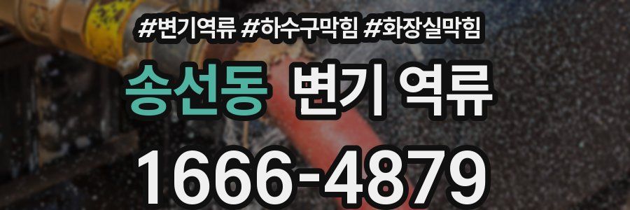 송선동 변기 역류