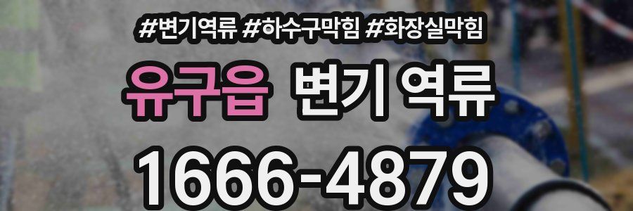 유구읍 변기 역류