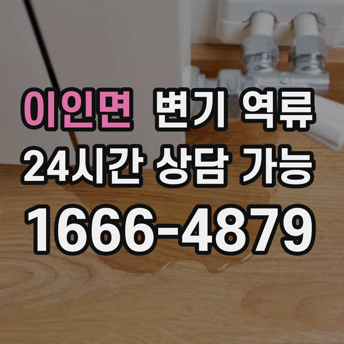 이인면 변기 역류