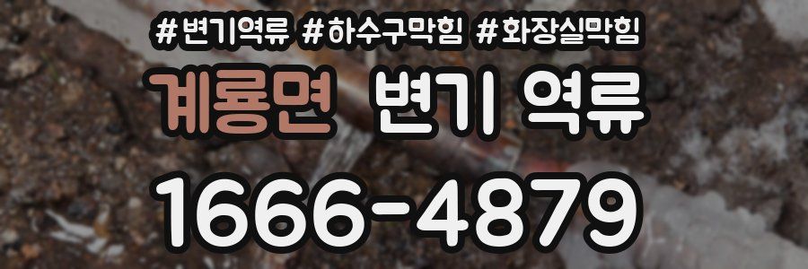 계룡면 변기 역류