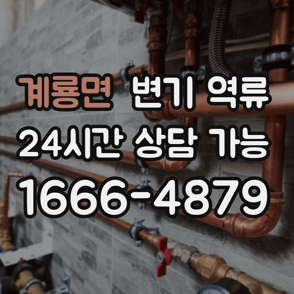 계룡면 변기 역류