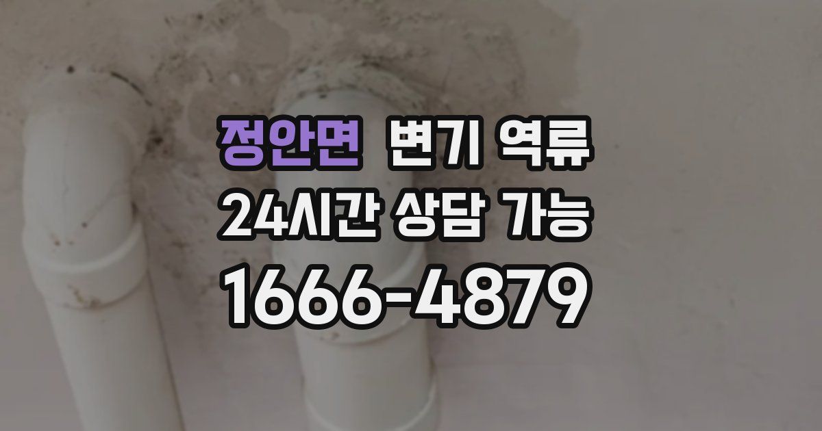 정안면 변기 역류