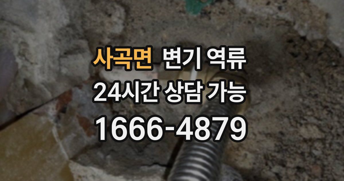 사곡면 변기 역류