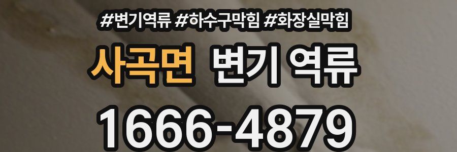 사곡면 변기 역류