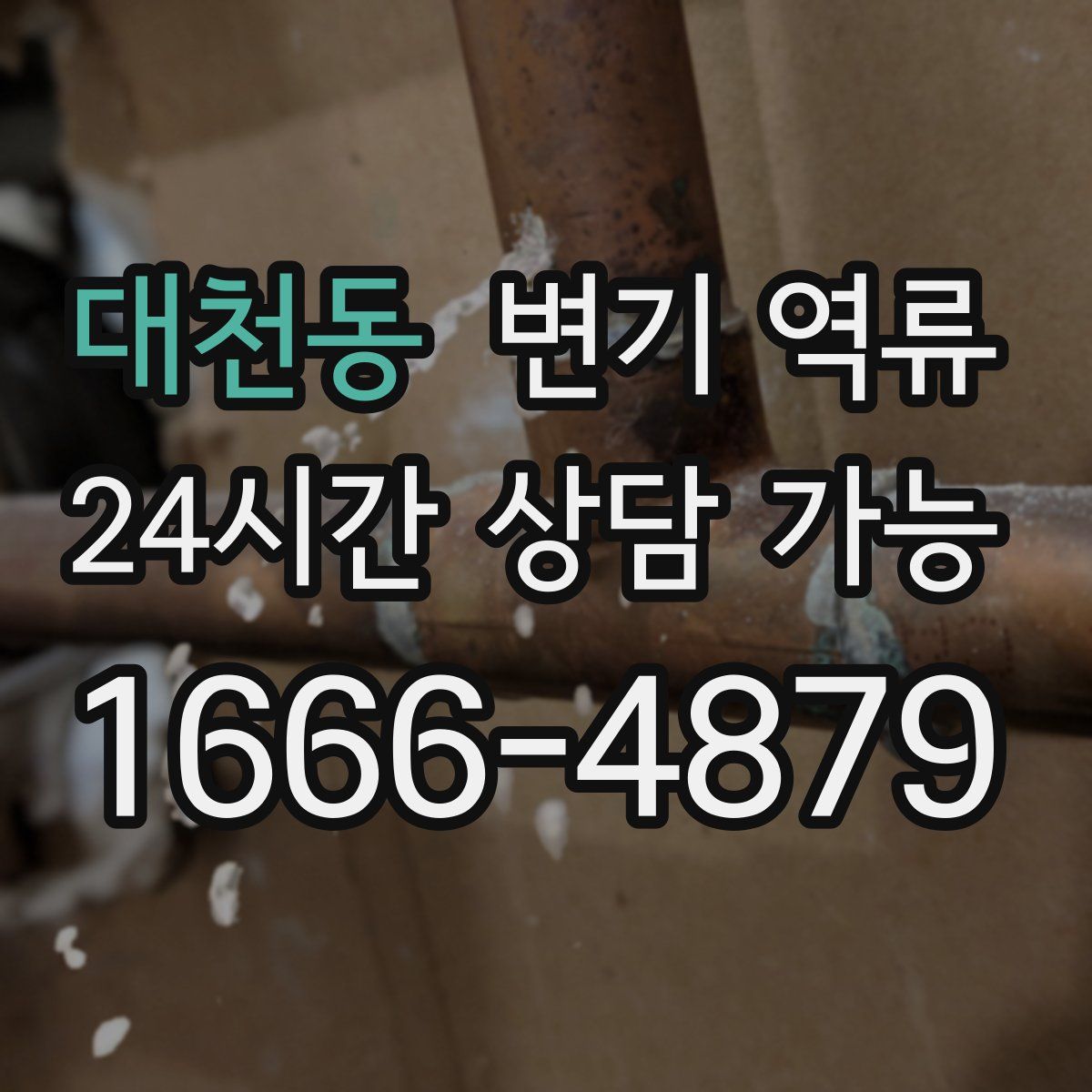 대천동 변기 역류