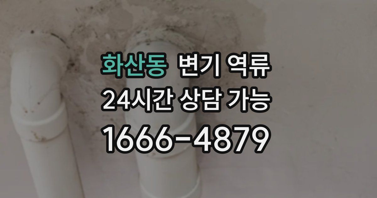 화산동 변기 역류