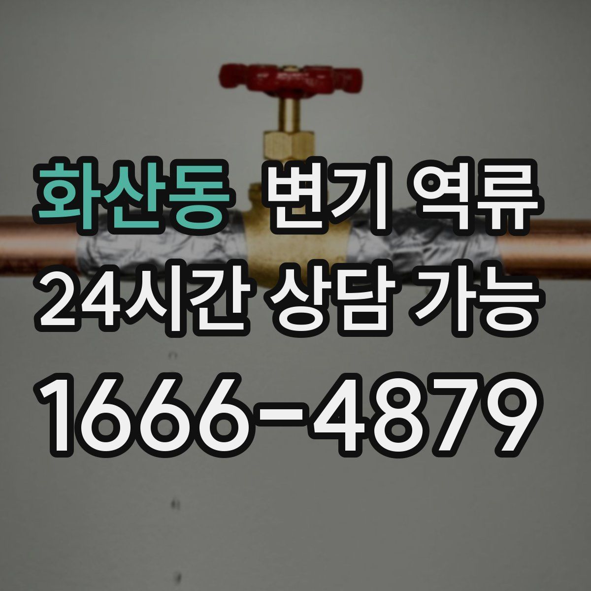 화산동 변기 역류