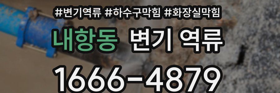 내항동 변기 역류