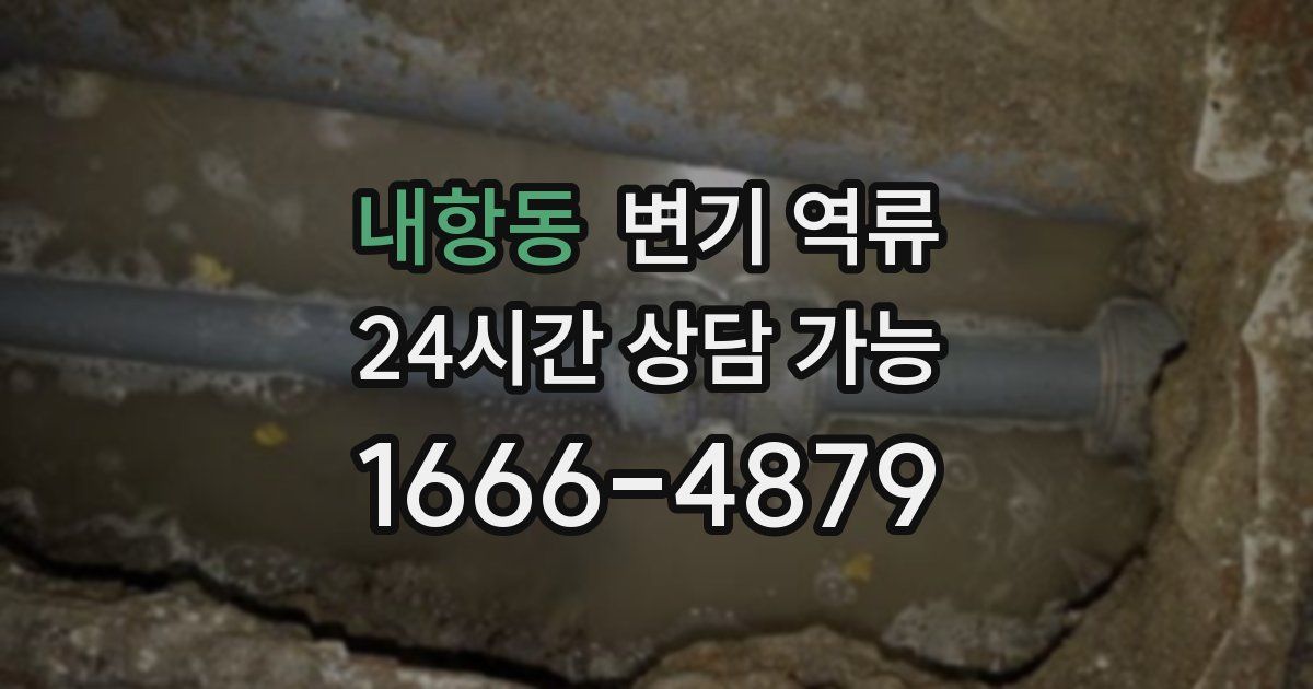 내항동 변기 역류