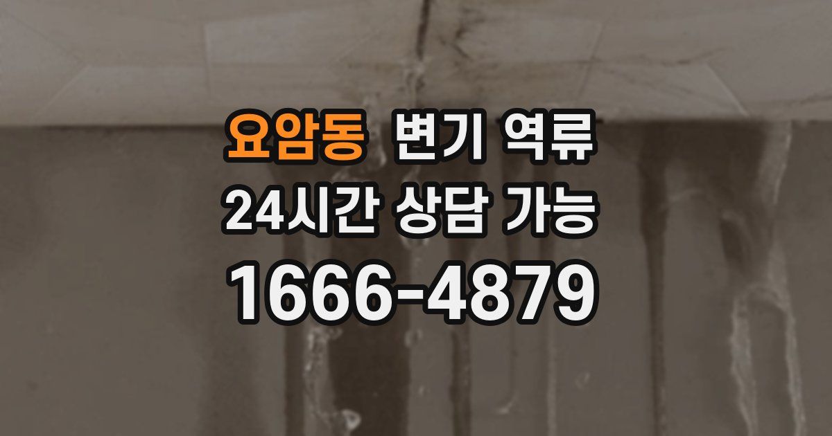 요암동 변기 역류