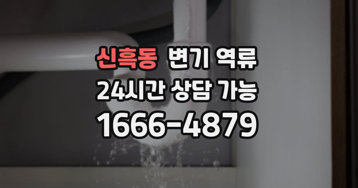 신흑동 변기 역류