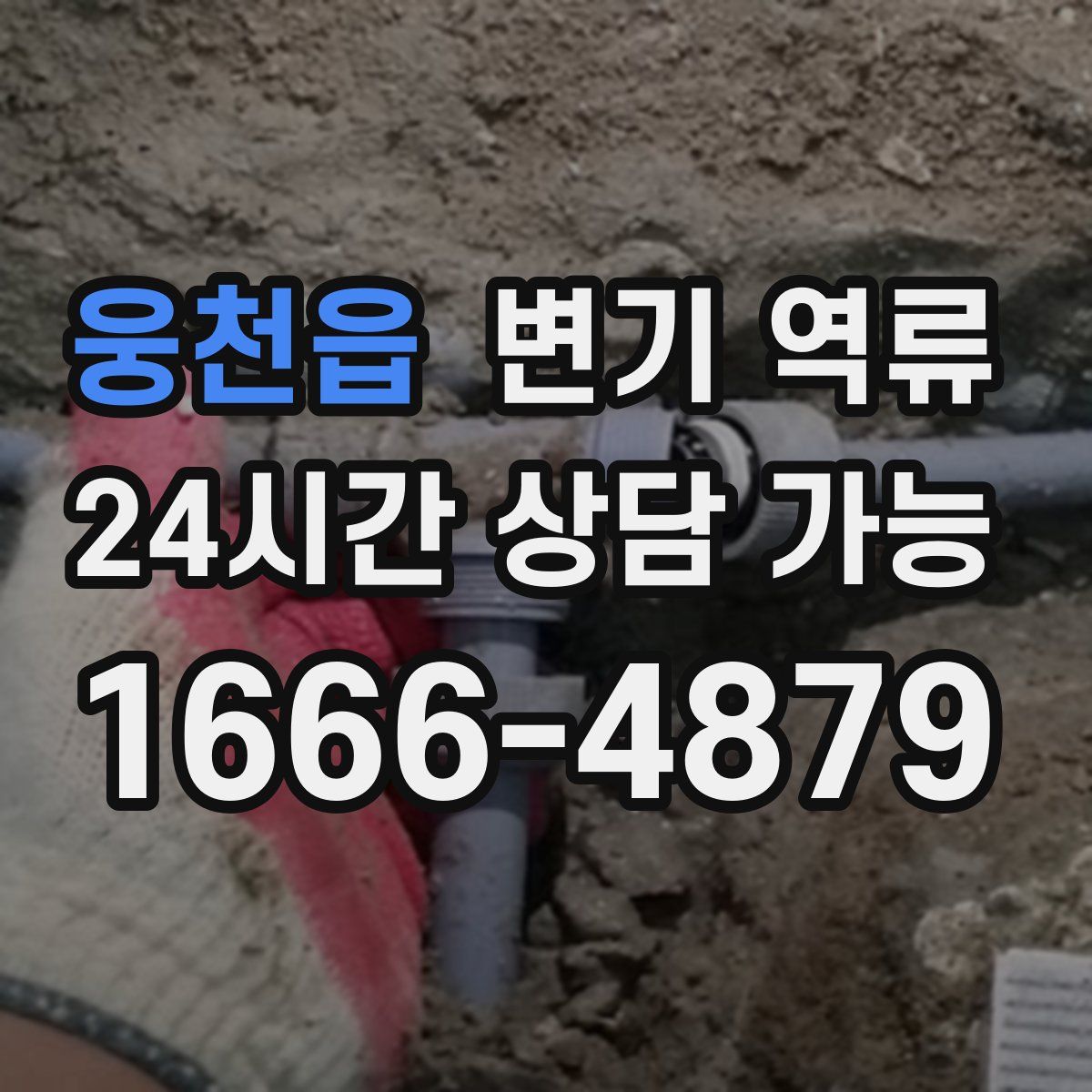 웅천읍 변기 역류