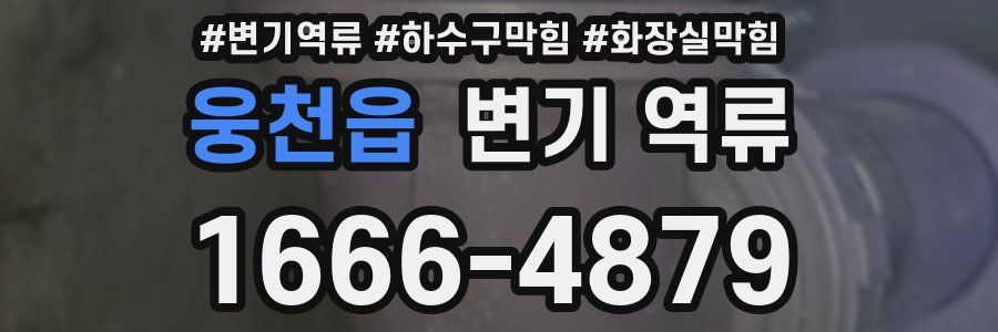 웅천읍 변기 역류