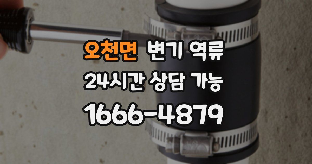 오천면 변기 역류