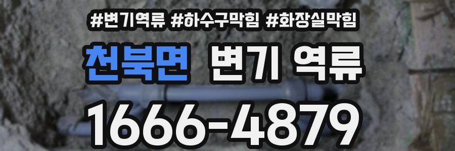 천북면 변기 역류