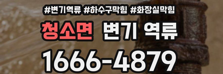 청소면 변기 역류