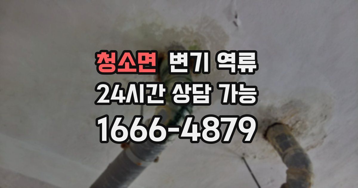 청소면 변기 역류