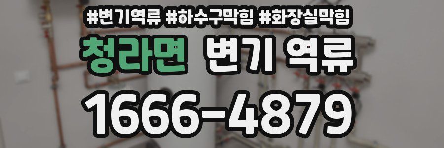 청라면 변기 역류