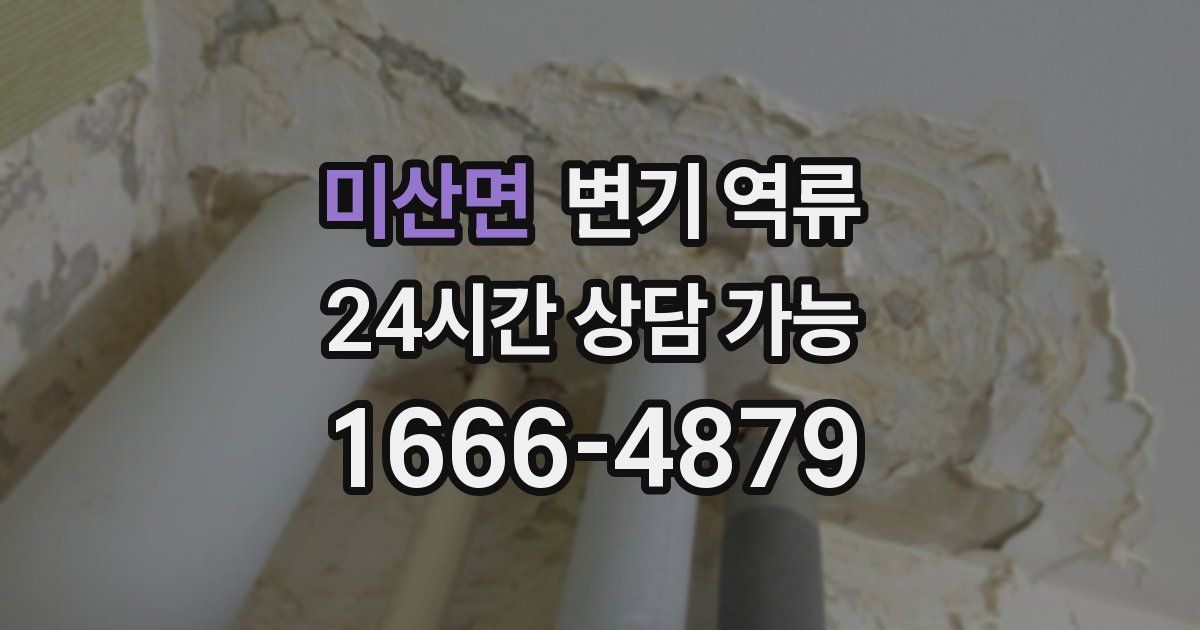 미산면 변기 역류