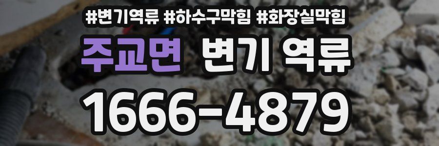 주교면 변기 역류