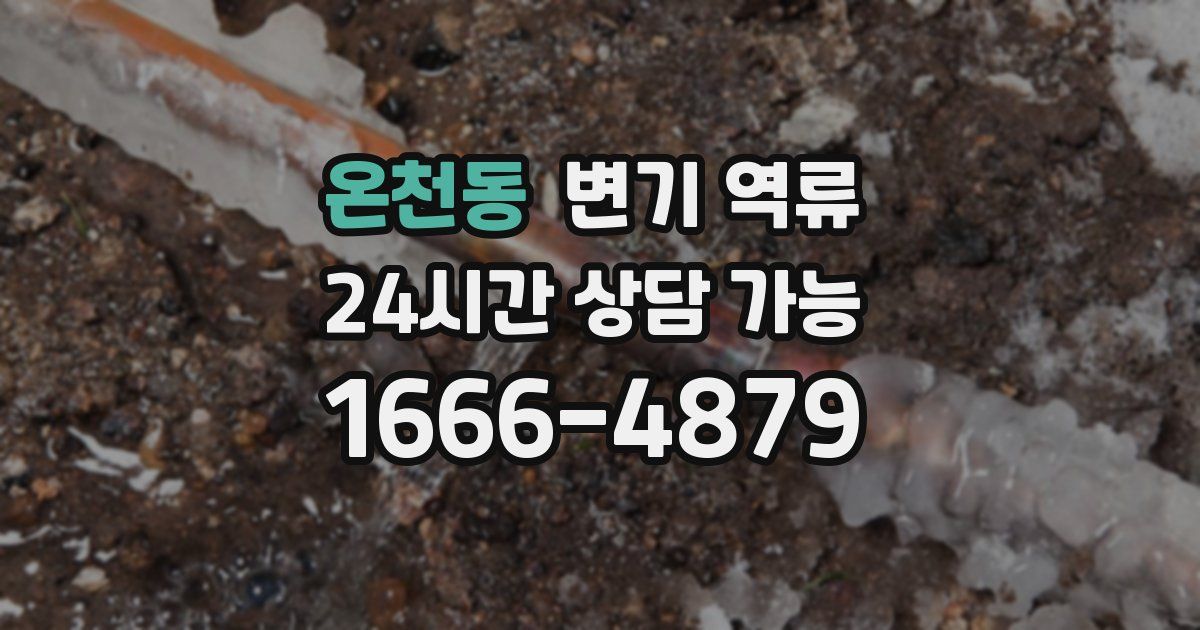 온천동 변기 역류