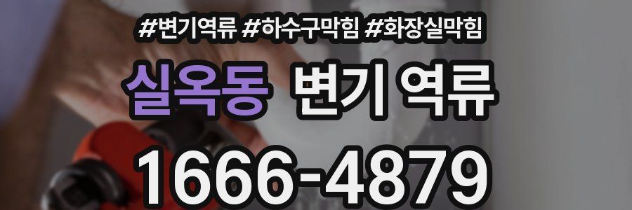 실옥동 변기 역류